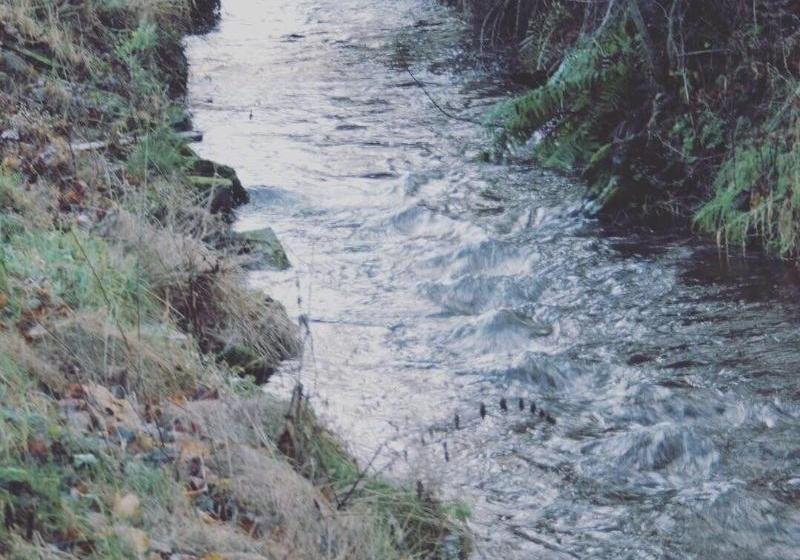 צימר The Wendy Hoose