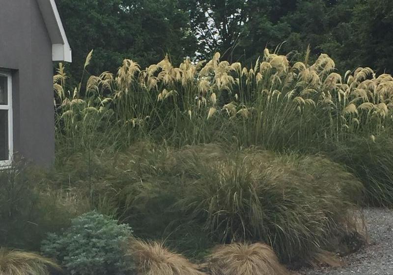 مبيت وإفطار The Wendy Hoose