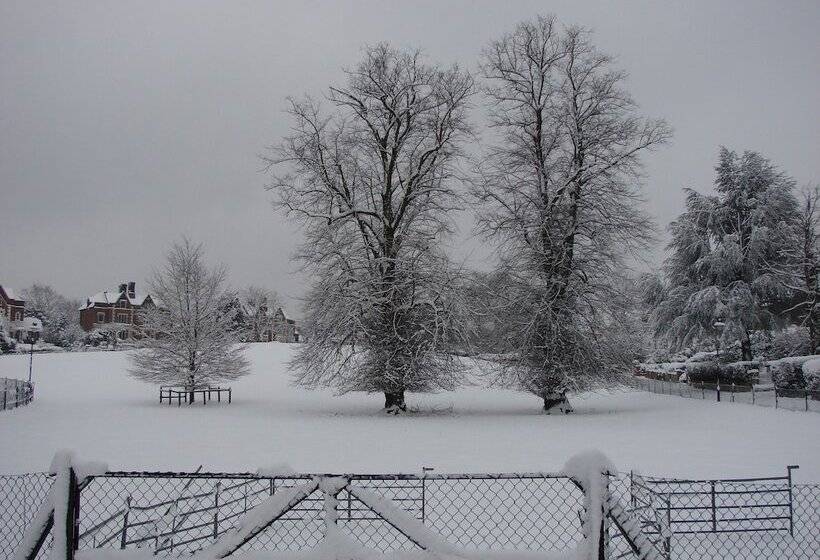 بنسيون The Waltons