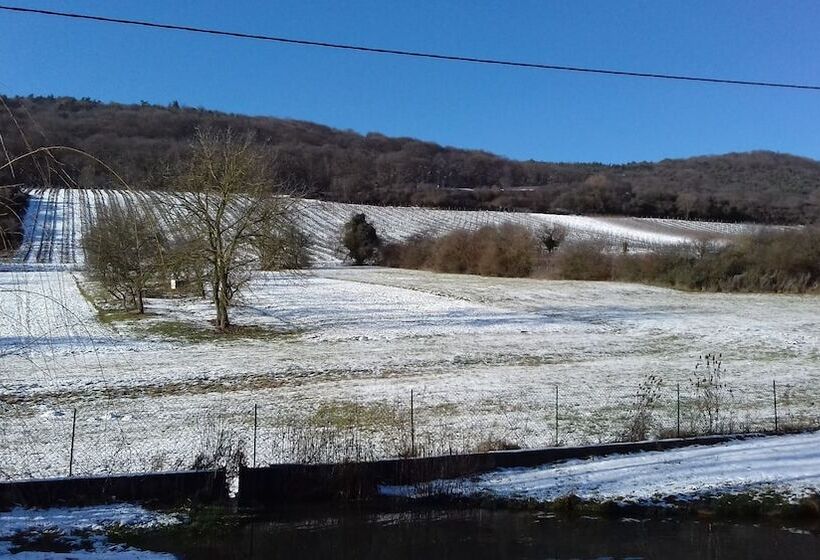 تختخواب و صبحانه Aux Vignes