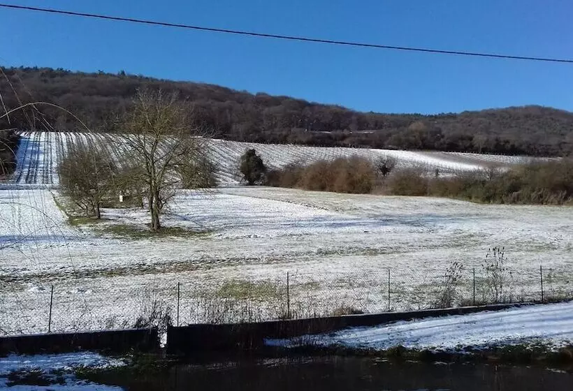 ベッドアンドブレックファースト Aux Vignes