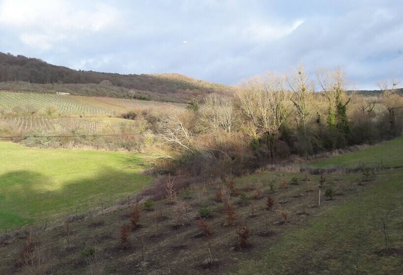 تختخواب و صبحانه Aux Vignes