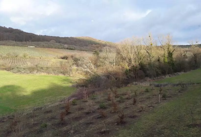 ベッドアンドブレックファースト Aux Vignes