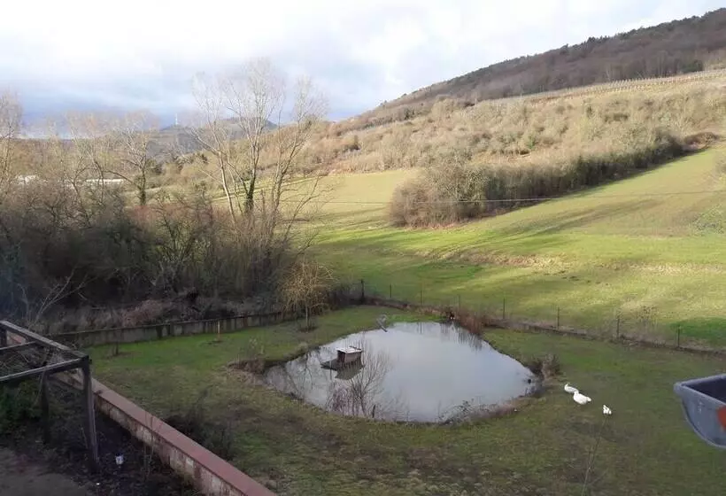 ベッドアンドブレックファースト Aux Vignes