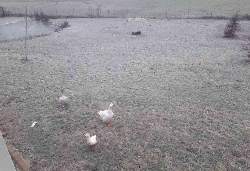 ベッドアンドブレックファースト Aux Vignes