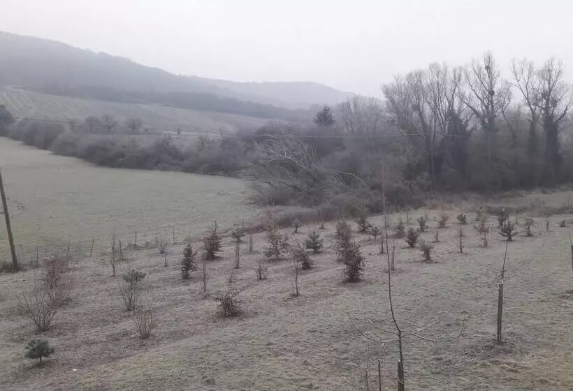 ベッドアンドブレックファースト Aux Vignes