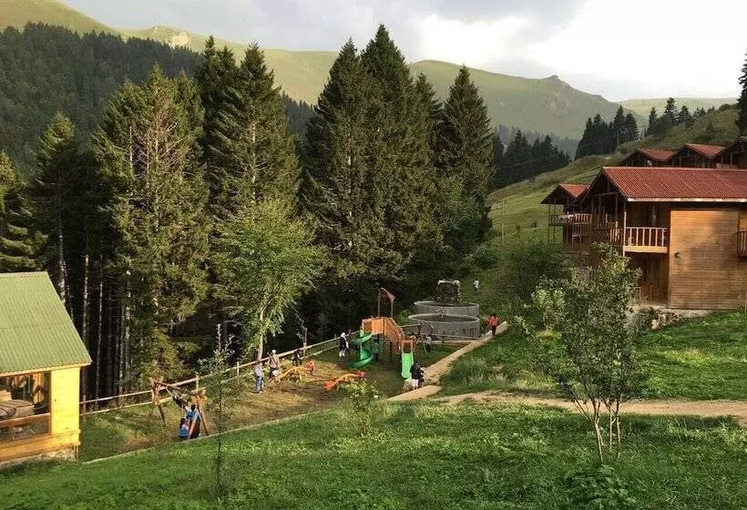 Hotelli Hamsiköy Zitaş Bungalov & Restoran