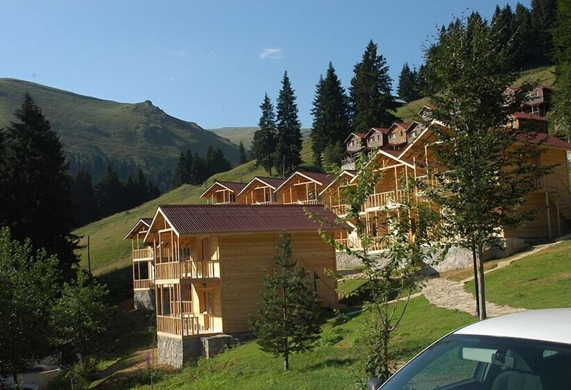 호텔 Hamsiköy Zitaş Bungalov & Restoran