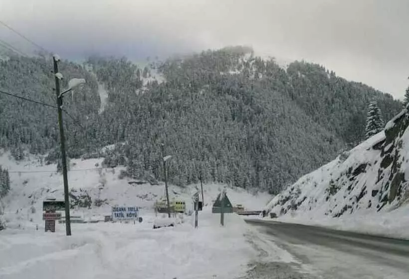 Hotelli Hamsiköy Zitaş Bungalov & Restoran