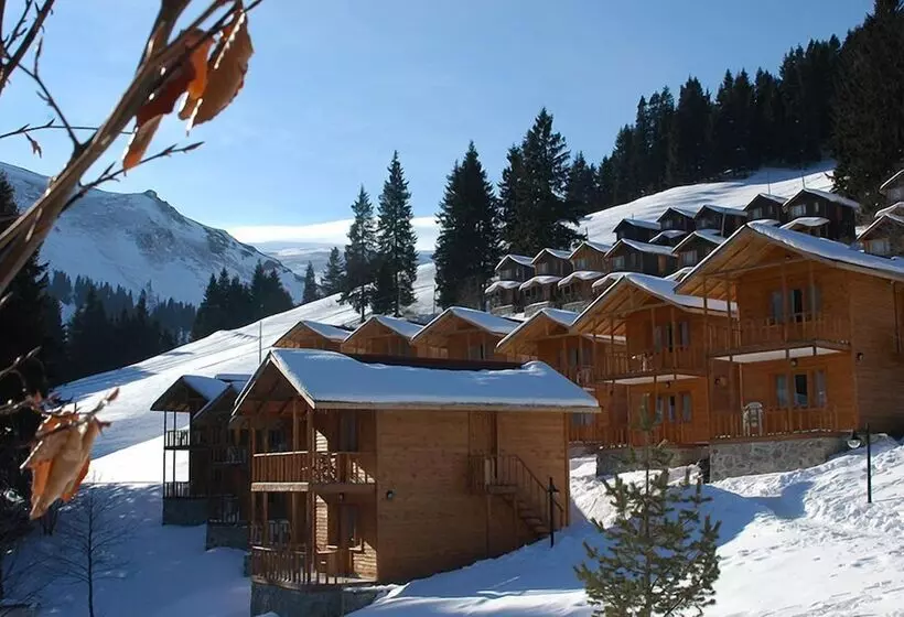 Hotelli Hamsiköy Zitaş Bungalov & Restoran