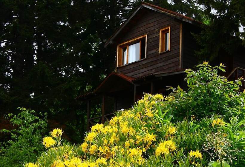 호텔 Hamsiköy Zitaş Bungalov & Restoran