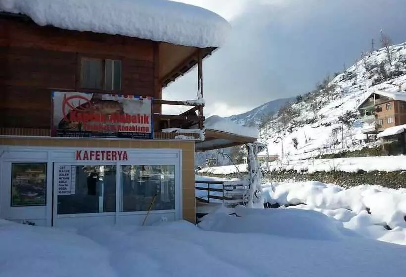 Hotelli Kaptan Alabalik Konaklama Tesisleri