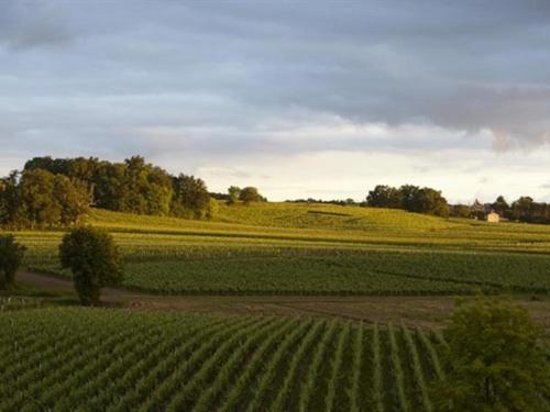 مبيت وإفطار Château La Rose Perriere