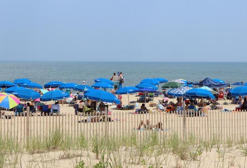 Oceanus Motel   Rehoboth Beach