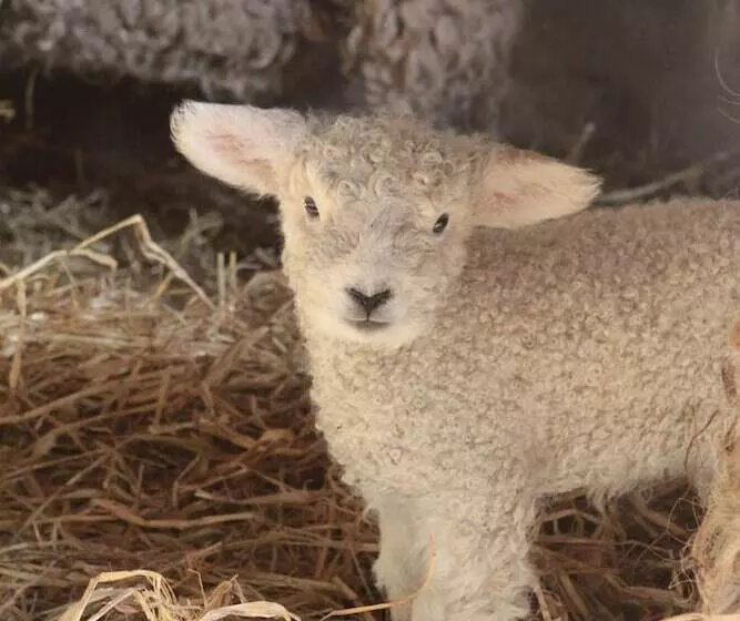 ベッドアンドブレックファースト The Granary