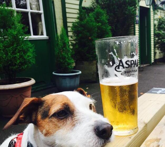 민박 The New Forest Inn