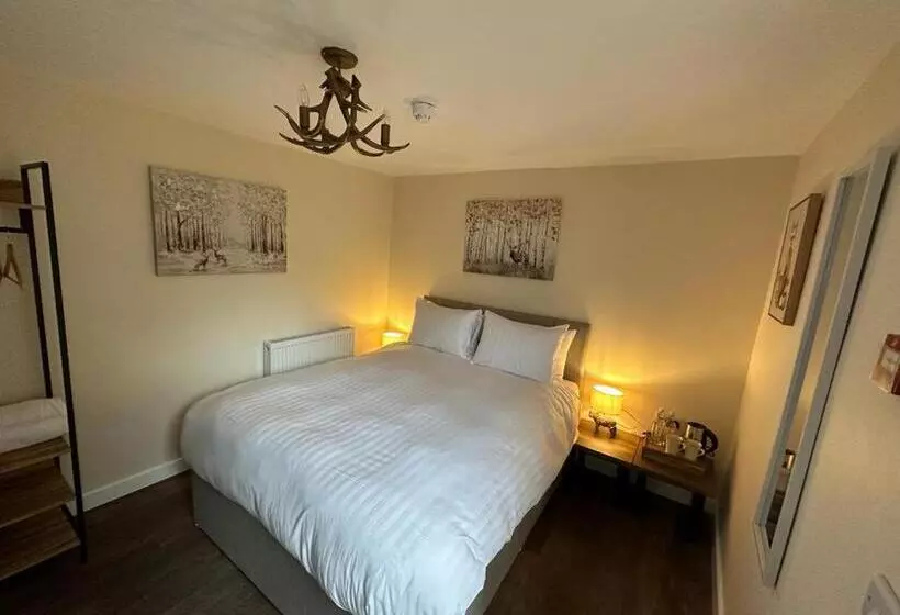 Aamiaismajoitus (B&B) The New Forest Inn