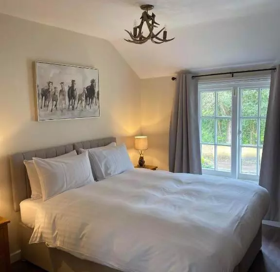 Aamiaismajoitus (B&B) The New Forest Inn