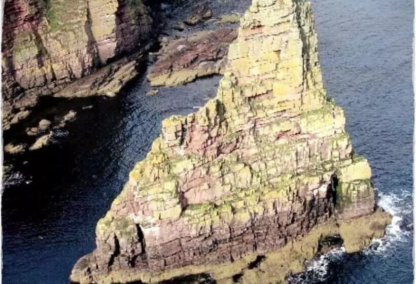 Hostelli Harbour Bridge Camps Bar