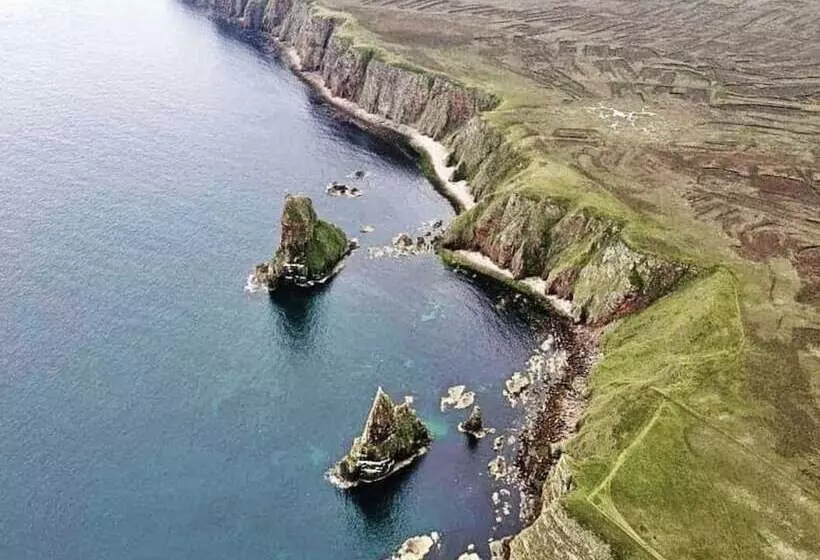 Hostelli Harbour Bridge Camps Bar
