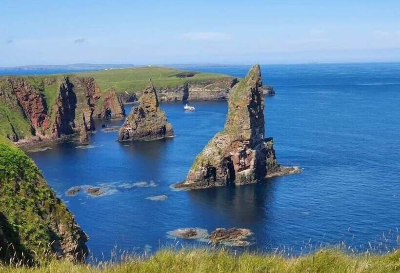 簡易ホテル Harbour Bridge Camps Bar