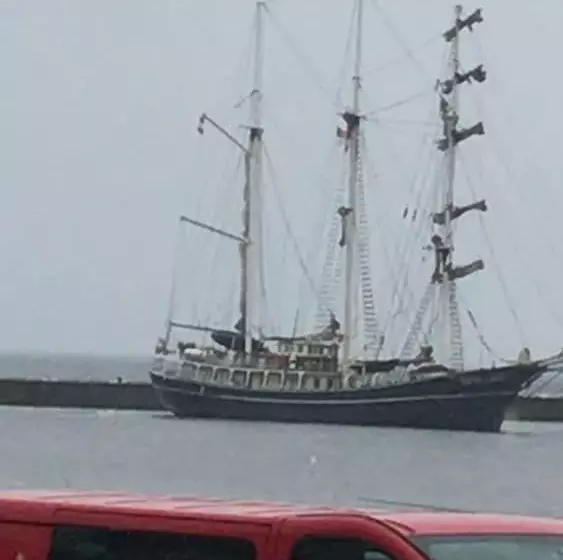 Hostelli Harbour Bridge Camps Bar