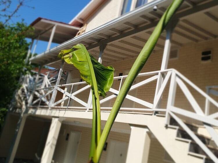 Отель Kadifeli Konak Boutique