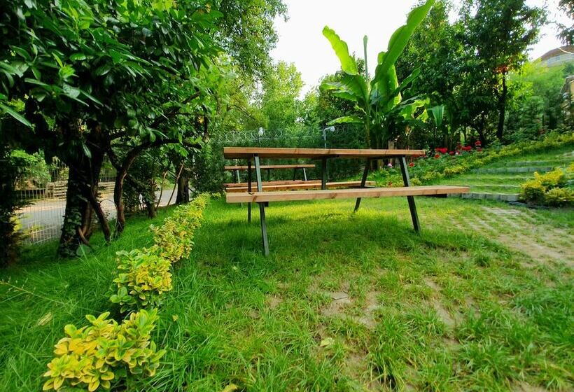 Отель Kadifeli Konak Boutique