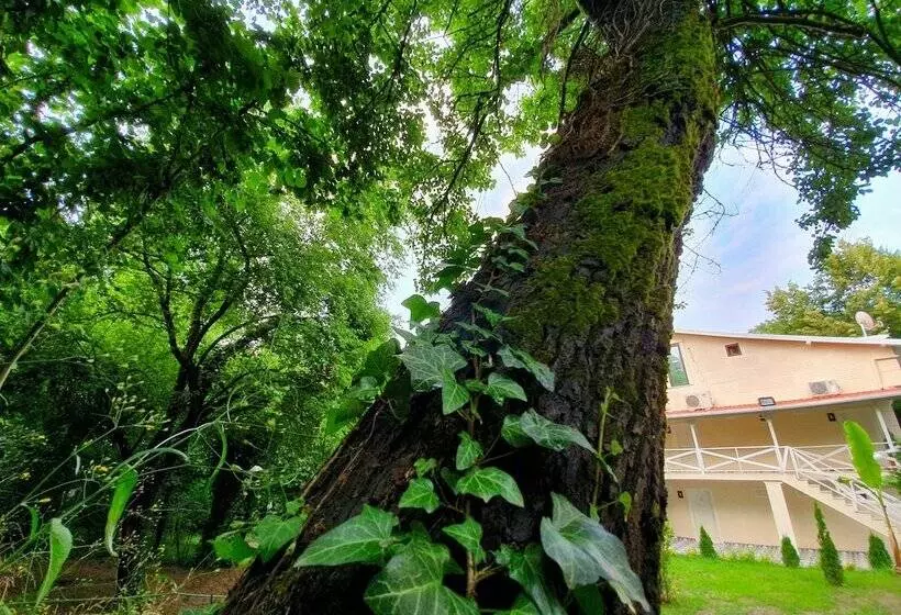 Hotelli Kadifeli Konak Boutique