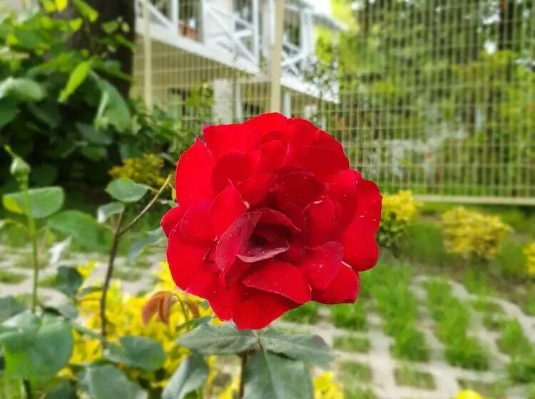 Hotelli Kadifeli Konak Boutique