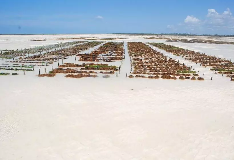 Hotelli Seasons Lodge Zanzibar