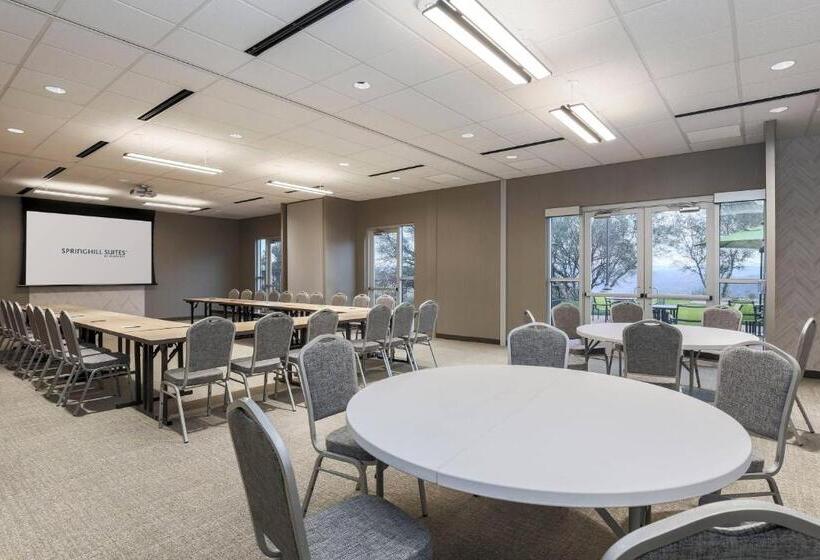 호텔 Springhill Suites By Marriott Auburn