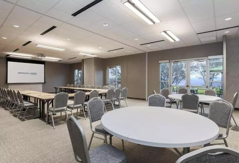 Hotelli Springhill Suites By Marriott Auburn