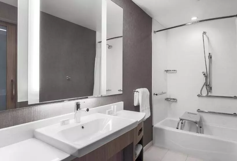 Hotelli Springhill Suites By Marriott Auburn