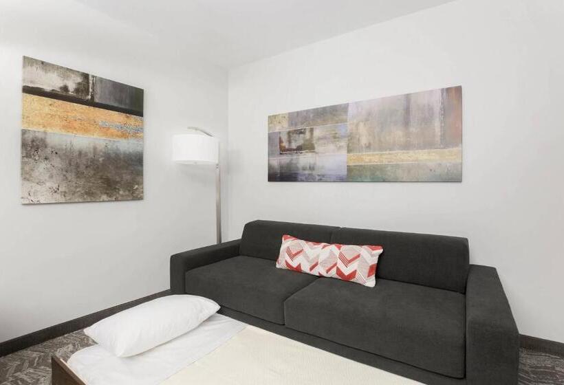 호텔 Springhill Suites By Marriott Auburn