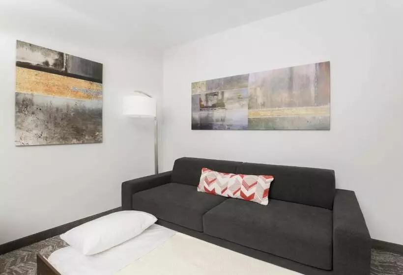 Hotelli Springhill Suites By Marriott Auburn