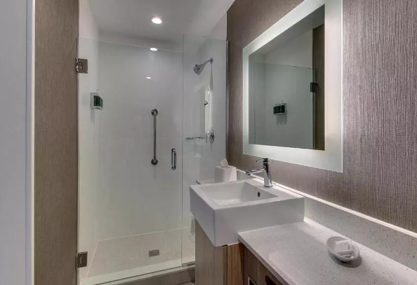 هتل Springhill Suites By Marriott Montgomery Downtown