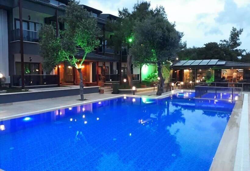 فندق The Sarigerme Inn