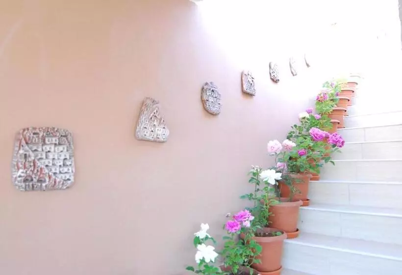 Kamelya Cave Hostel