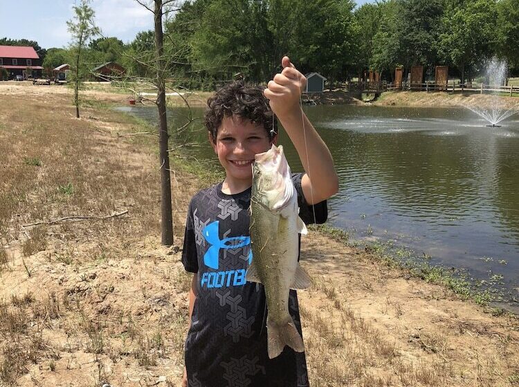 The Silver Spur Resort   Campsite