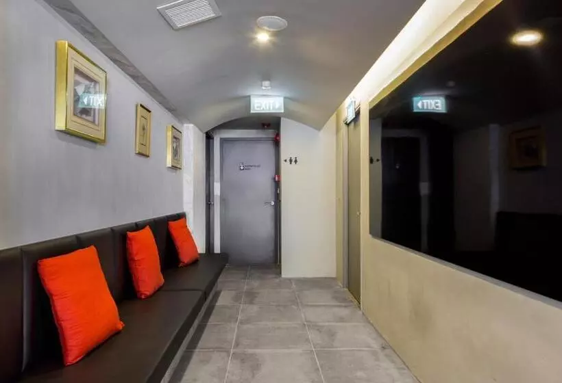 هاستل Circular House