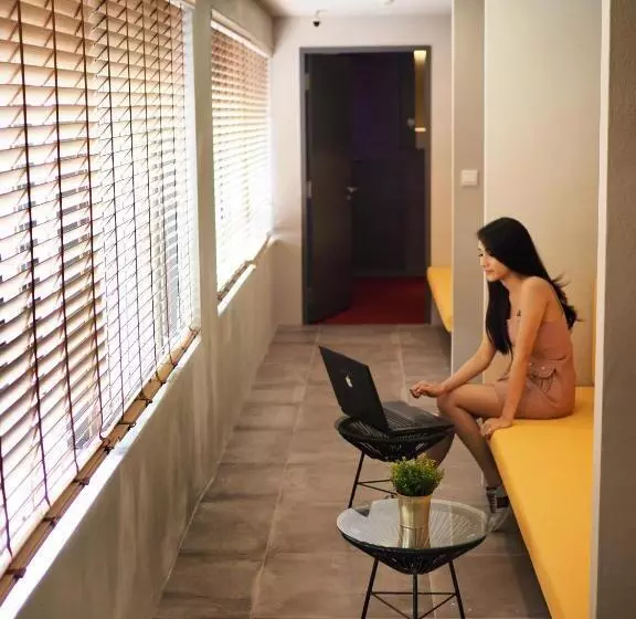 هاستل Circular House