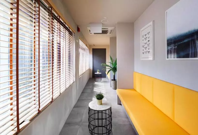 هاستل Circular House