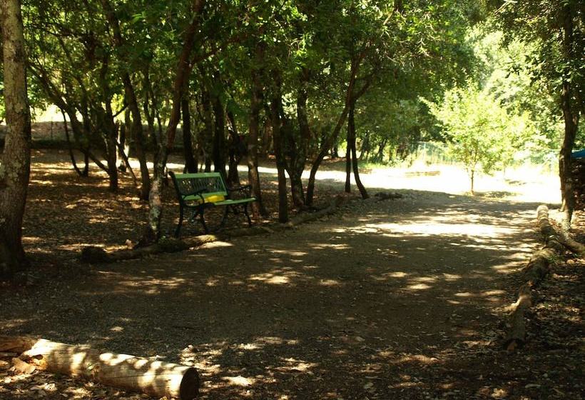 Bed and Breakfast Villa Thocha