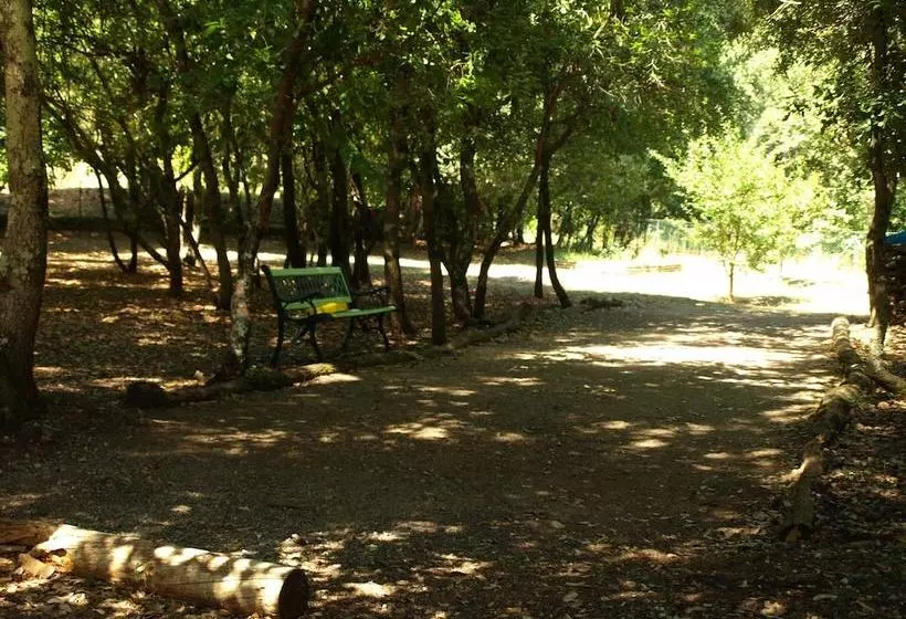Bed and Breakfast Villa Thocha