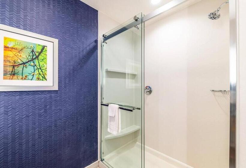 Отель Fairfield Inn & Suites By Marriott Gainesville I35