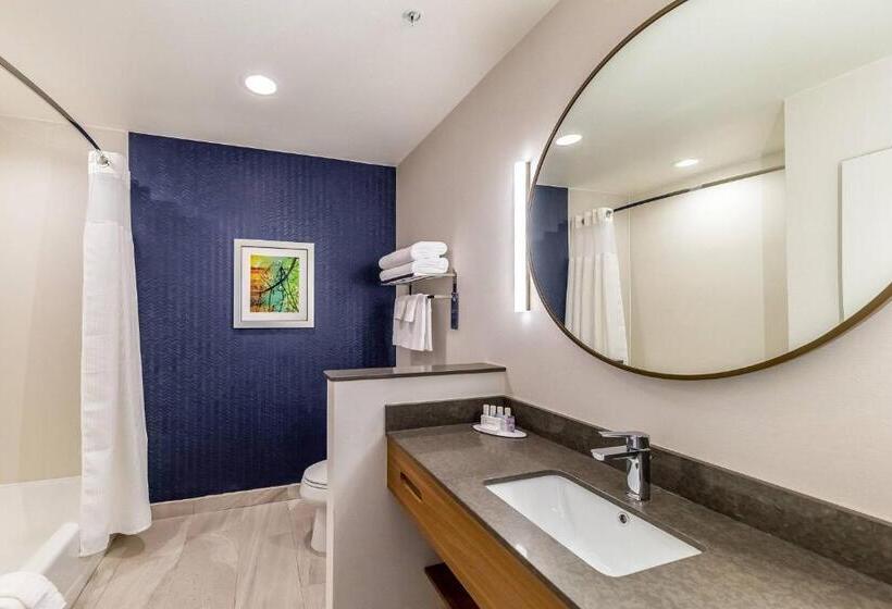 Отель Fairfield Inn & Suites By Marriott Gainesville I35