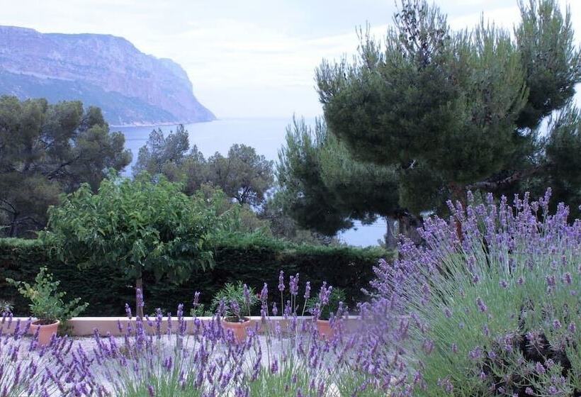 تختخواب و صبحانه The Dorn