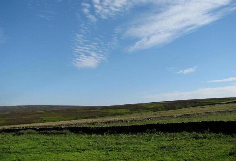 פונדק The Dog And Partridge