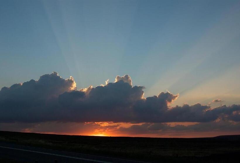 פונדק The Dog And Partridge